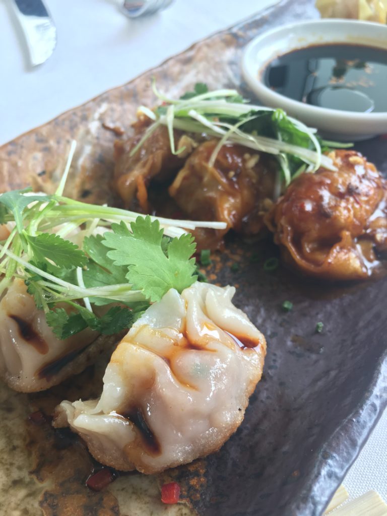 Scallop Siu Mai, Pork Potsticker, Lobster Springroll, Chicken Dumpling (dark colored - amazing) 