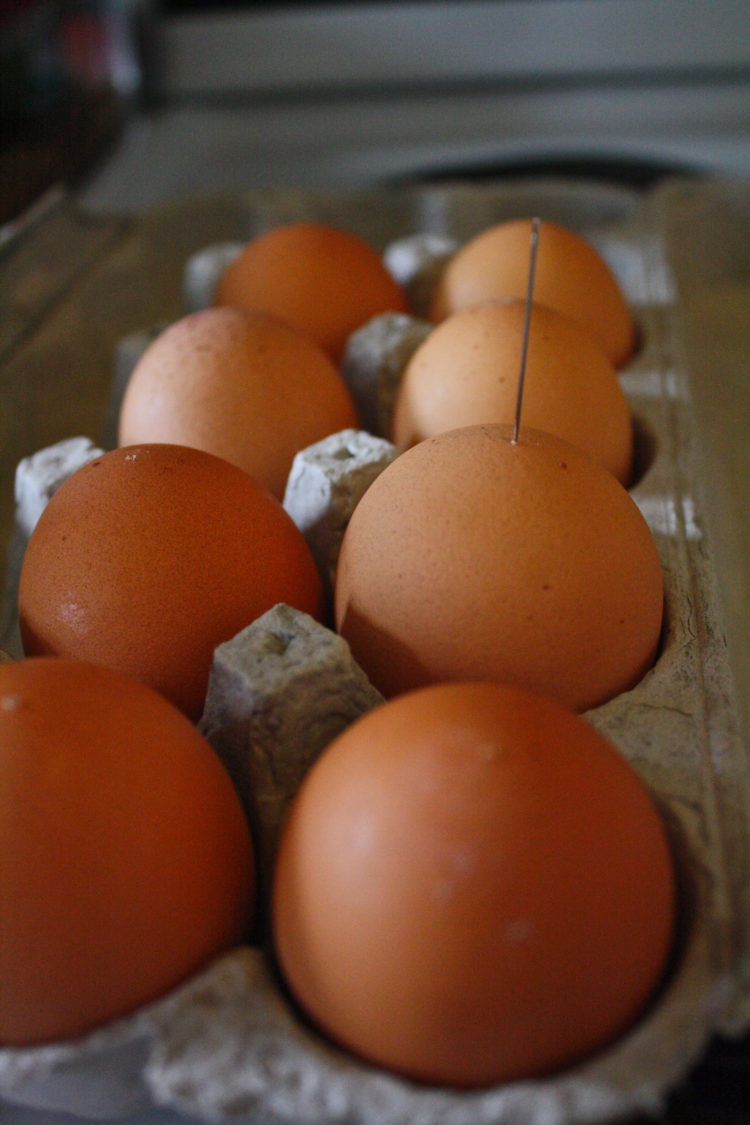 Recipe Pesto & Sundried Tomato Deviled Eggs